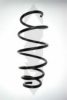 SPIDAN 85992 Coil Spring